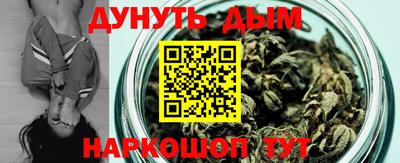 шишки Новодвинск