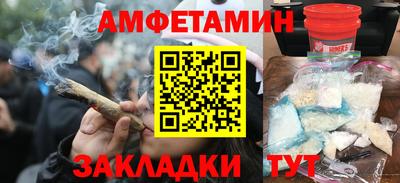 шишки Новодвинск